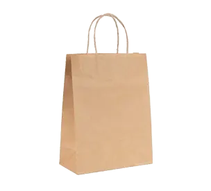 Brown Kraft Bag 1