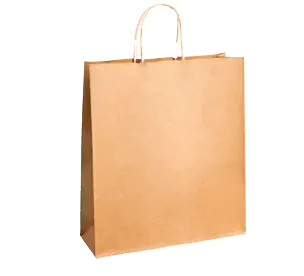 Brown Kraft Bag 2