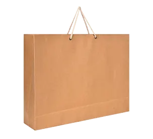 Brown Kraft Bag 3