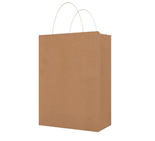 Brown Kraft Bag 4