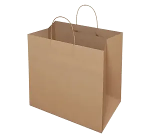 Brown Kraft Bag 5