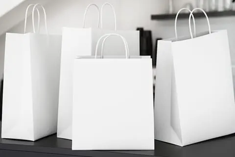 White Kraft Bag