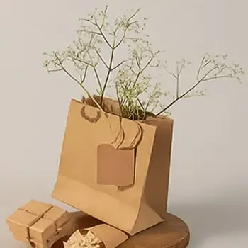 Brown kraft paper bag