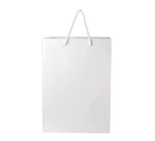 White Kraft Bag 2