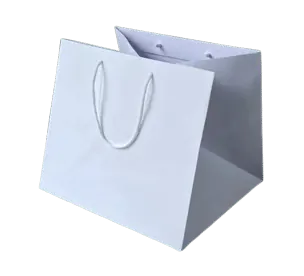 White Kraft Bag 3