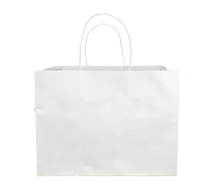 White Kraft Bag 4
