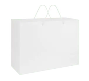 White Kraft Bag 5