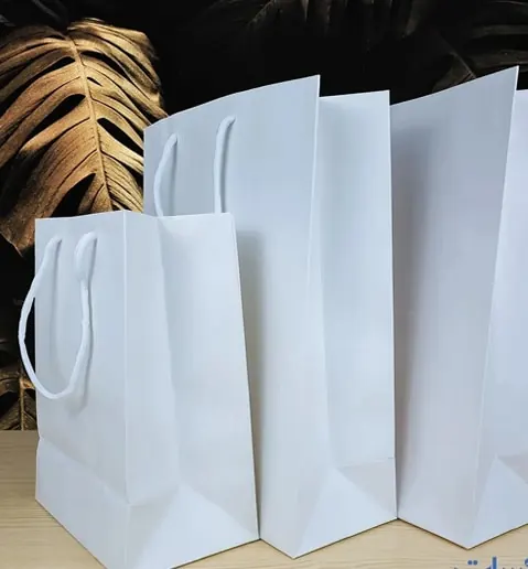 White Kraft Bag