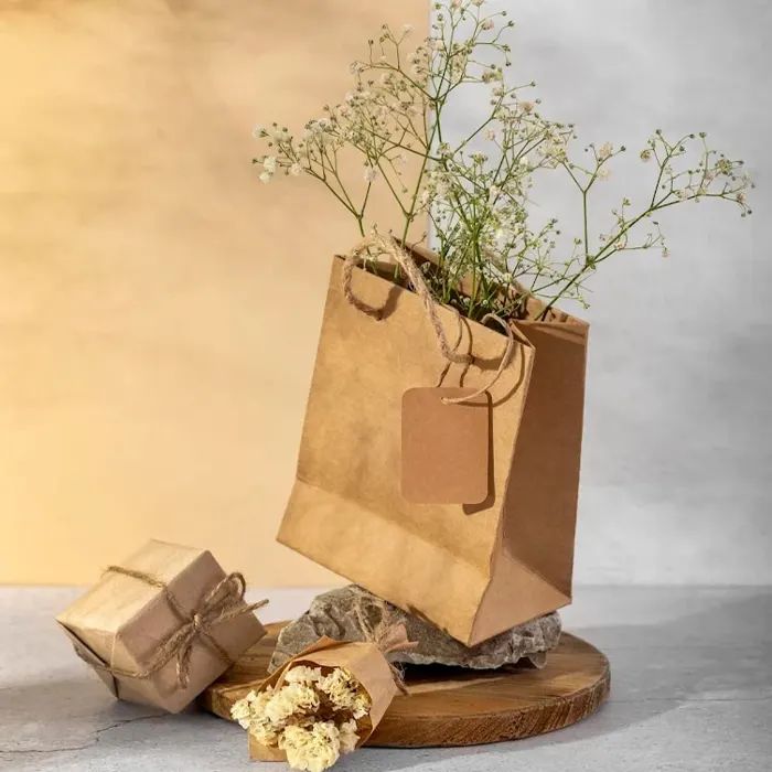 GPSCo kraft paper bag